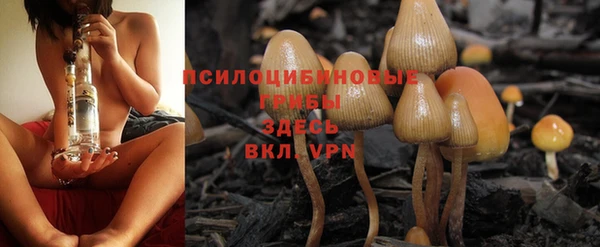 твердый Кодинск