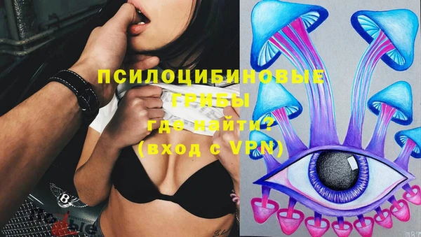 твердый Кодинск