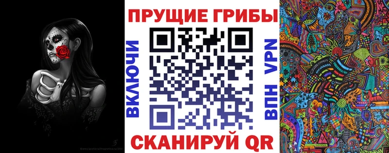 Галлюциногенные грибы Psilocybe  Чердынь 